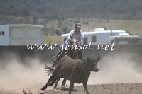 AdaminabyCampdraft2014_0964