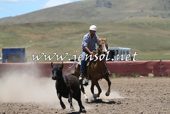AdaminabyCampdraft2014_0983