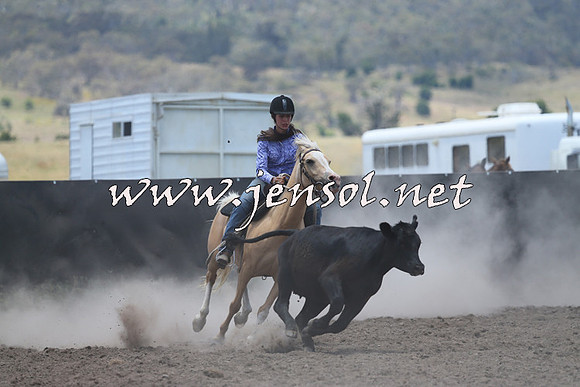 AdaminabyCampdraft2014_1017