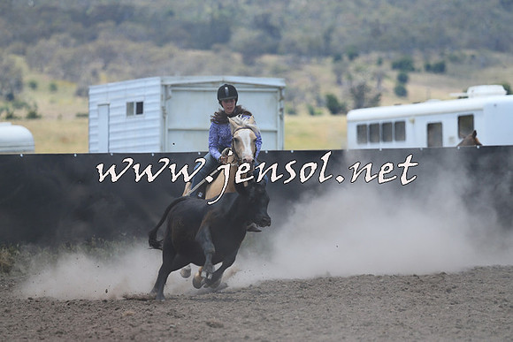 AdaminabyCampdraft2014_1020