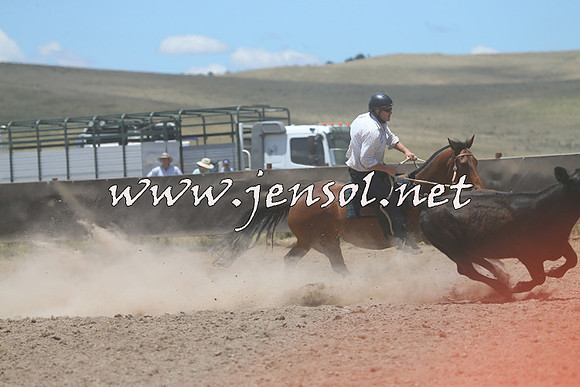 AdaminabyCampdraft2014_1004
