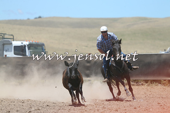 AdaminabyCampdraft2014_1003
