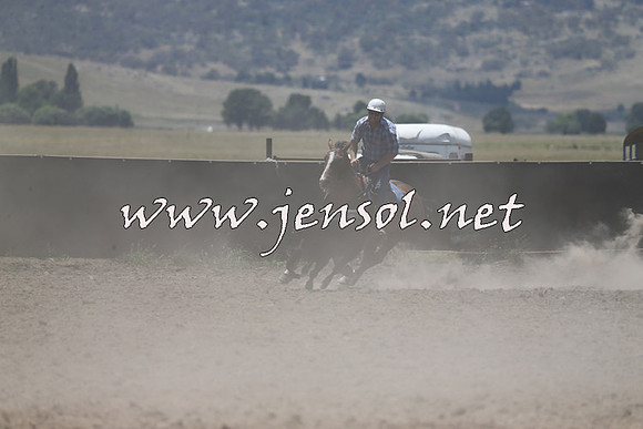 AdaminabyCampdraft2014_0993