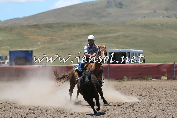 AdaminabyCampdraft2014_0978