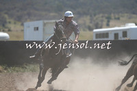 AdaminabyCampdraft2014_0947