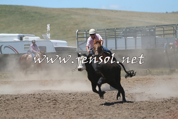 AdaminabyCampdraft2014_0958