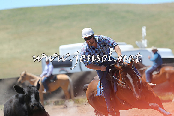 AdaminabyCampdraft2014_0955