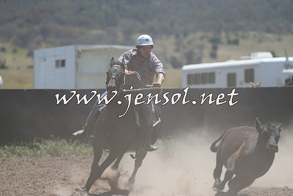 AdaminabyCampdraft2014_0945