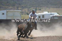 AdaminabyCampdraft2014_0963