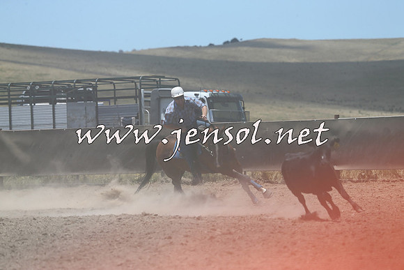 AdaminabyCampdraft2014_0986