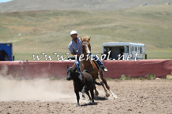 AdaminabyCampdraft2014_0977