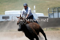 AdaminabyCampdraft2014_0966