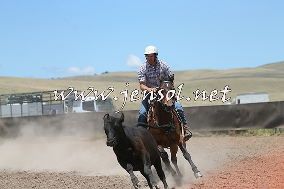AdaminabyCampdraft2014_1029
