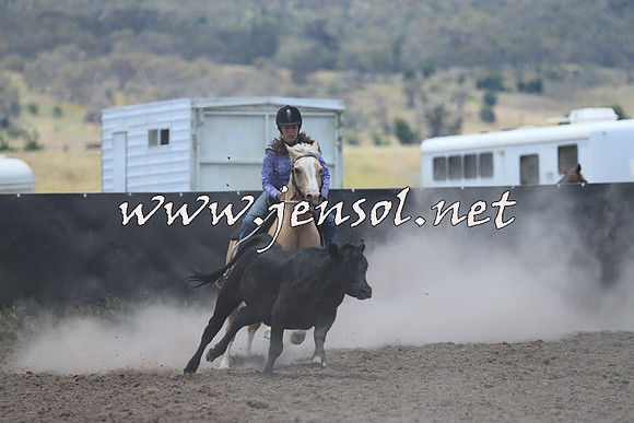AdaminabyCampdraft2014_1018