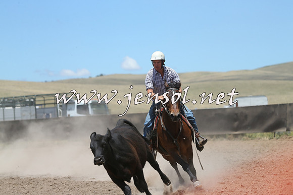 AdaminabyCampdraft2014_1028