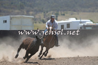 AdaminabyCampdraft2014_0965