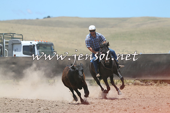 AdaminabyCampdraft2014_1000