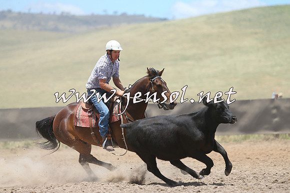 AdaminabyCampdraft2014_1025