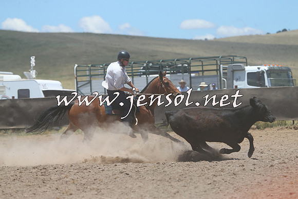 AdaminabyCampdraft2014_1008
