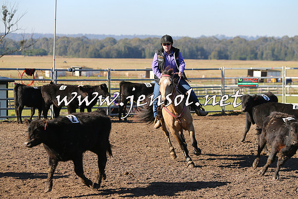 BeauKingsfield_0113