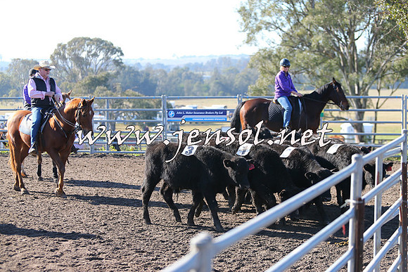 BeauKingsfield_0133