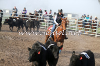 BeauKingsfield_0001