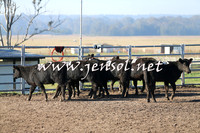 BeauKingsfield_0073