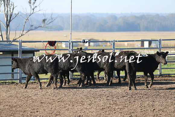 BeauKingsfield_0073