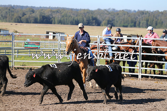 BeauKingsfield_0218