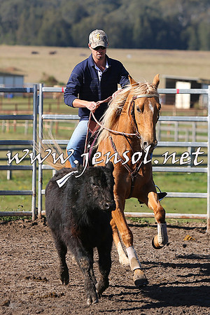 BeauKingsfield_0222