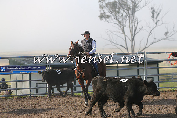 BeauKingsfield_0041