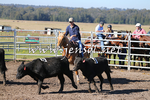 BeauKingsfield_0217
