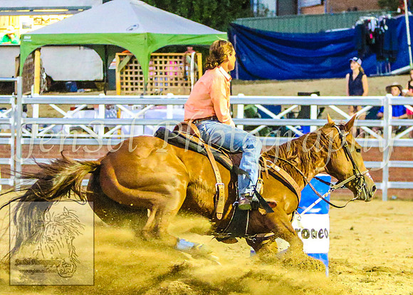 CoomaRodeo2014_2335