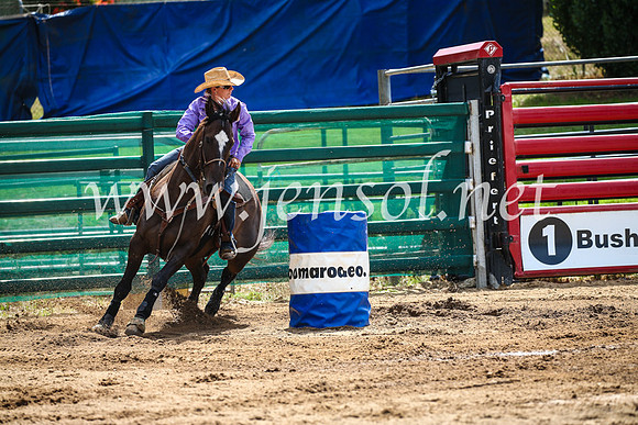 CoomaRodeo2017_0260