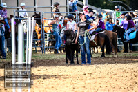 TaralgaRodeo2018_0815