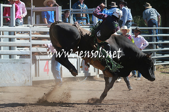 GundagaiRodeo_1113