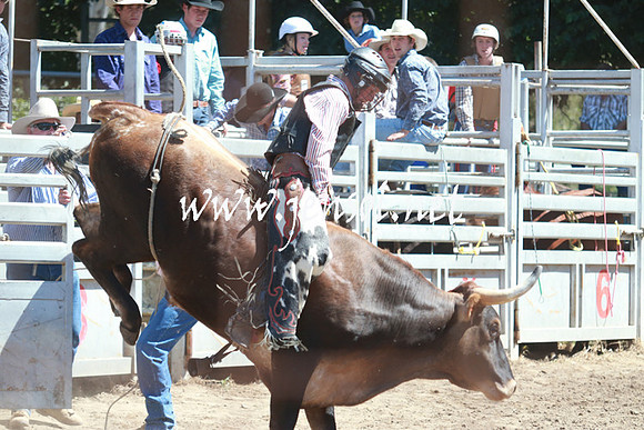 GundagaiRodeo_0834