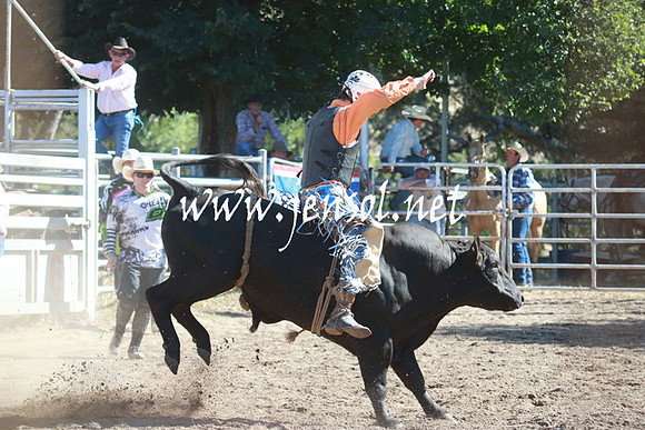 GundagaiRodeo_1097
