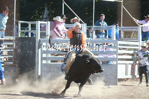 GundagaiRodeo_1089