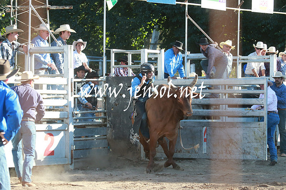 GundagaiRodeo_1355