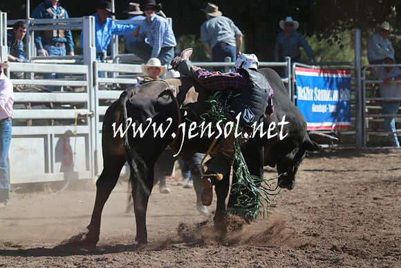 GundagaiRodeo_1117