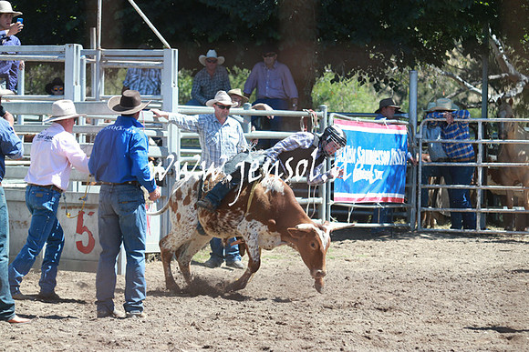 GundagaiRodeo_0800