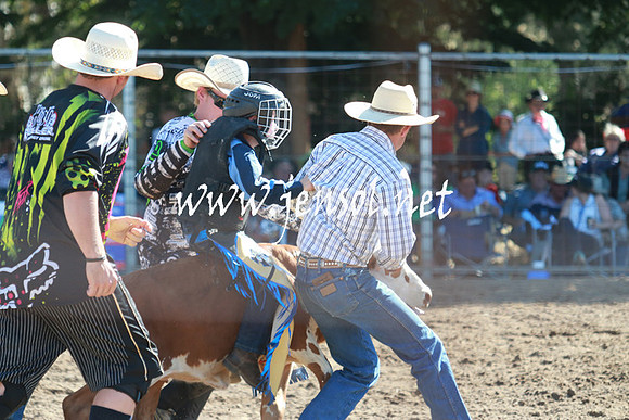 GundagaiRodeo_1056