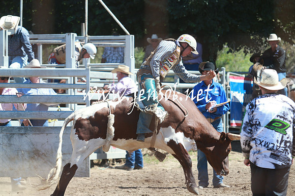 GundagaiRodeo_0825