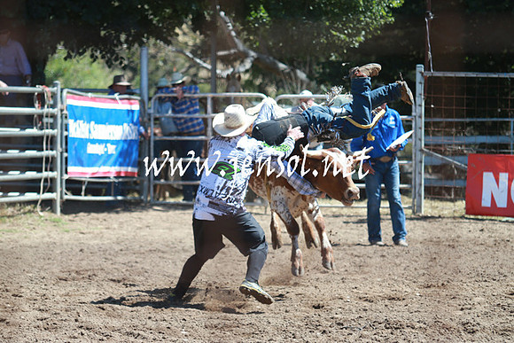 GundagaiRodeo_0809