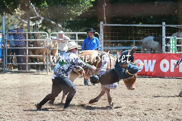 GundagaiRodeo_0814