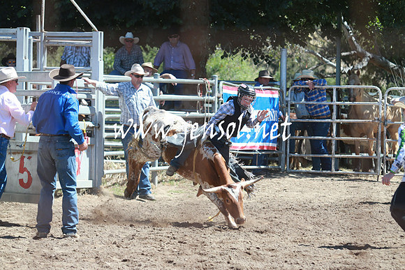 GundagaiRodeo_0802