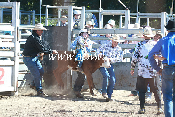 GundagaiRodeo_1017