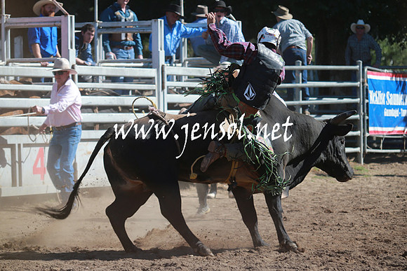 GundagaiRodeo_1115