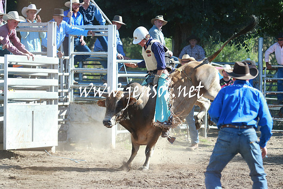 GundagaiRodeo_1168